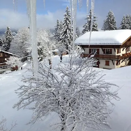 Le Caprice Des Neiges ホテル
