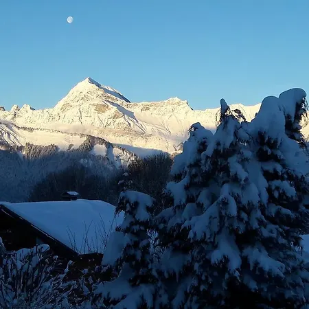 Le Caprice Des Neiges