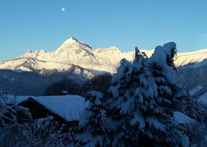 Le Caprice Des Neiges